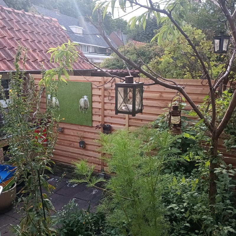 Douglas schutting met smalle planken