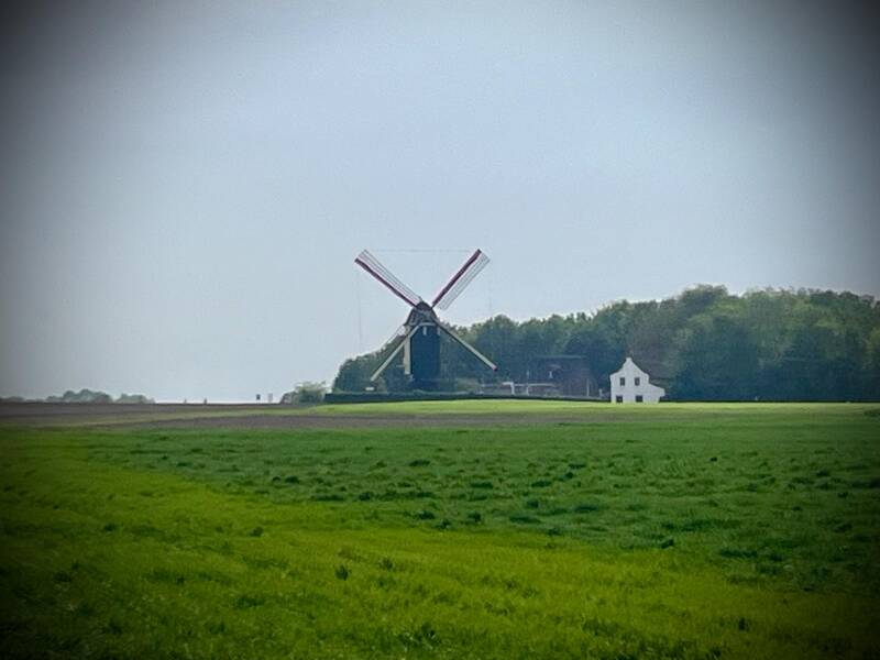 molen-standard.jpg
