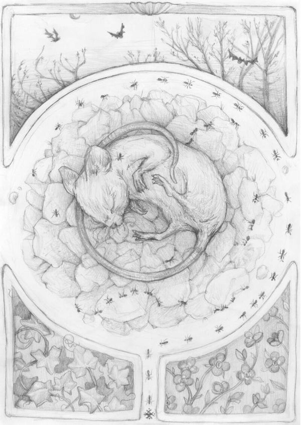 Sleeping mice