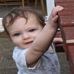 71a9a0b4-0d4a-4213-ac36-a47adcc77db7-standard.jpg