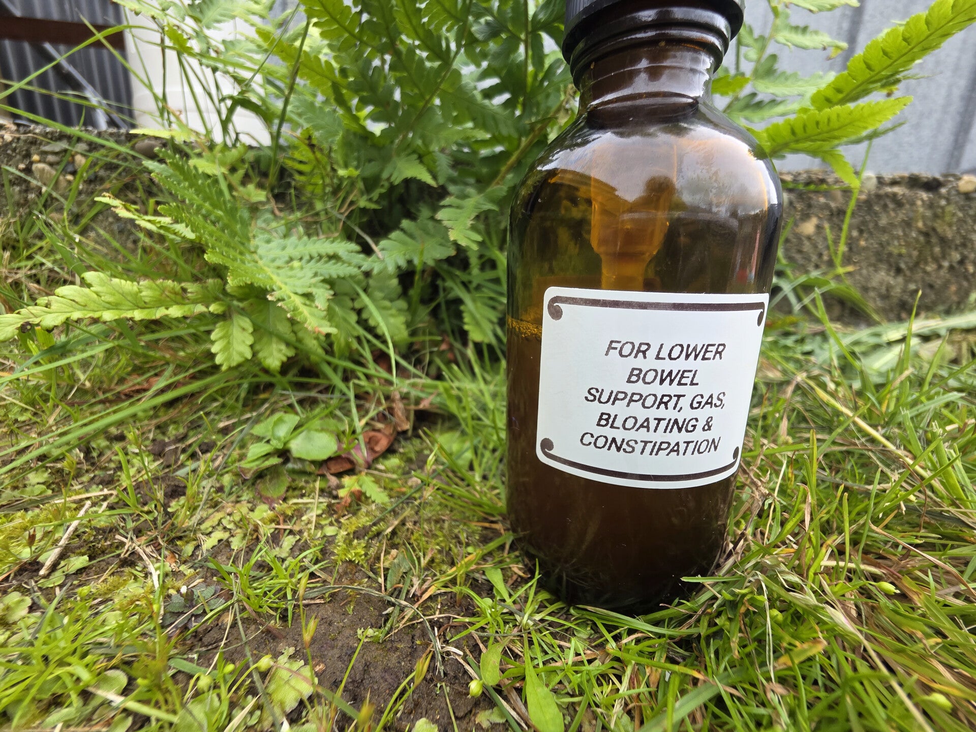 RAW ENERGY DIGESTIVE SUPPORT