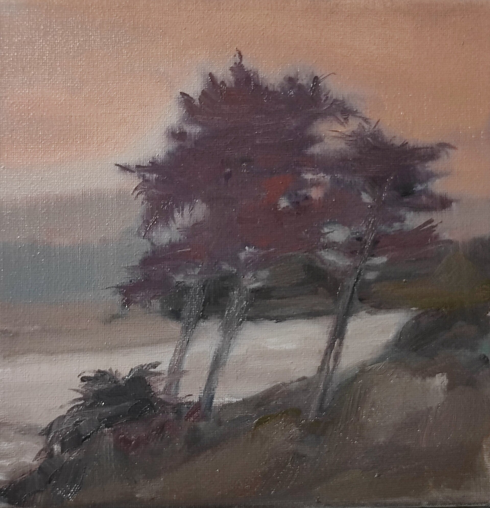 Les arbres mauves du bord de mer Huile sur toile 20X20 cmstandard.jpg
