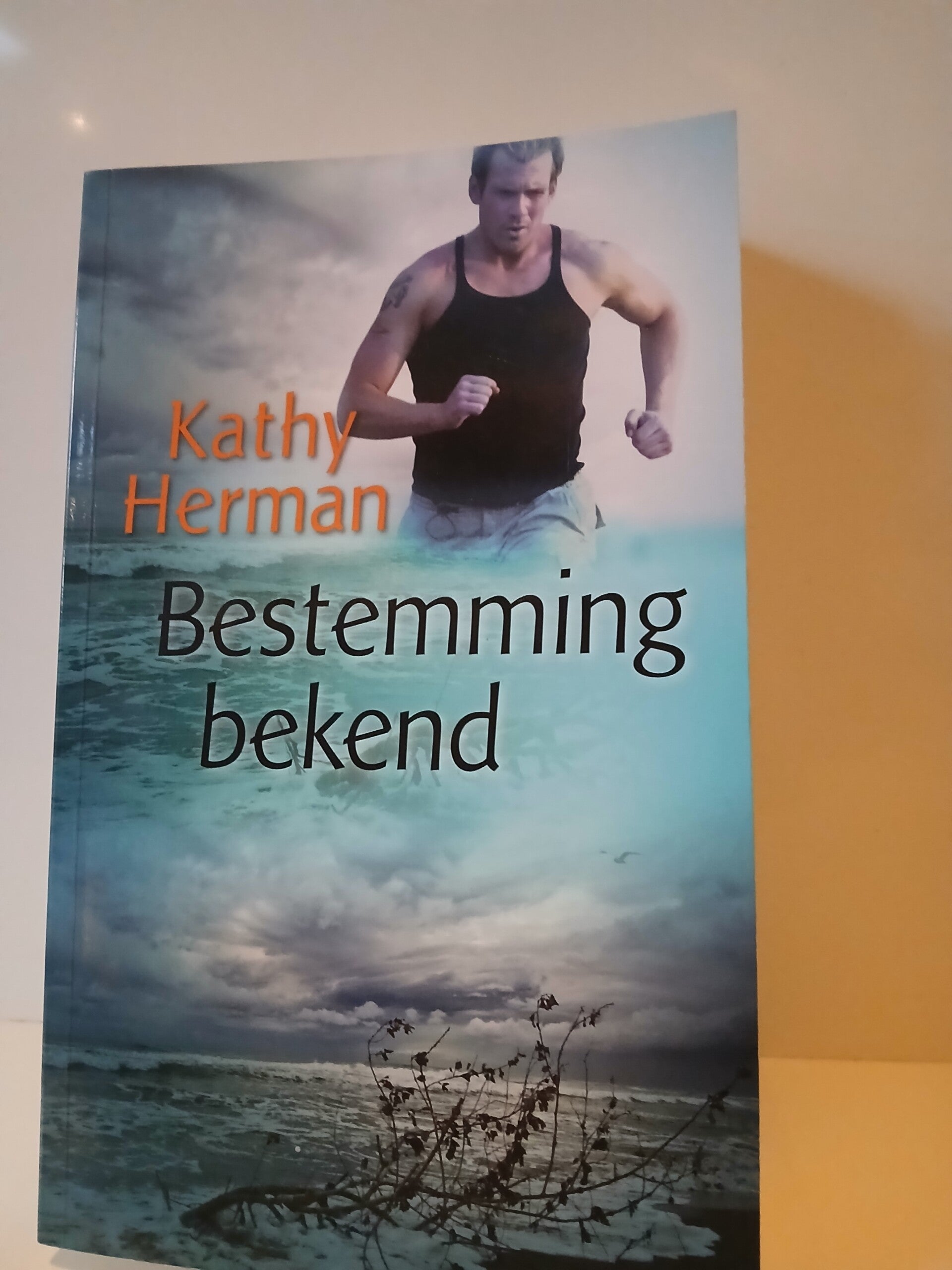 Bestemming bekend. Schrijver: Kathy Herman