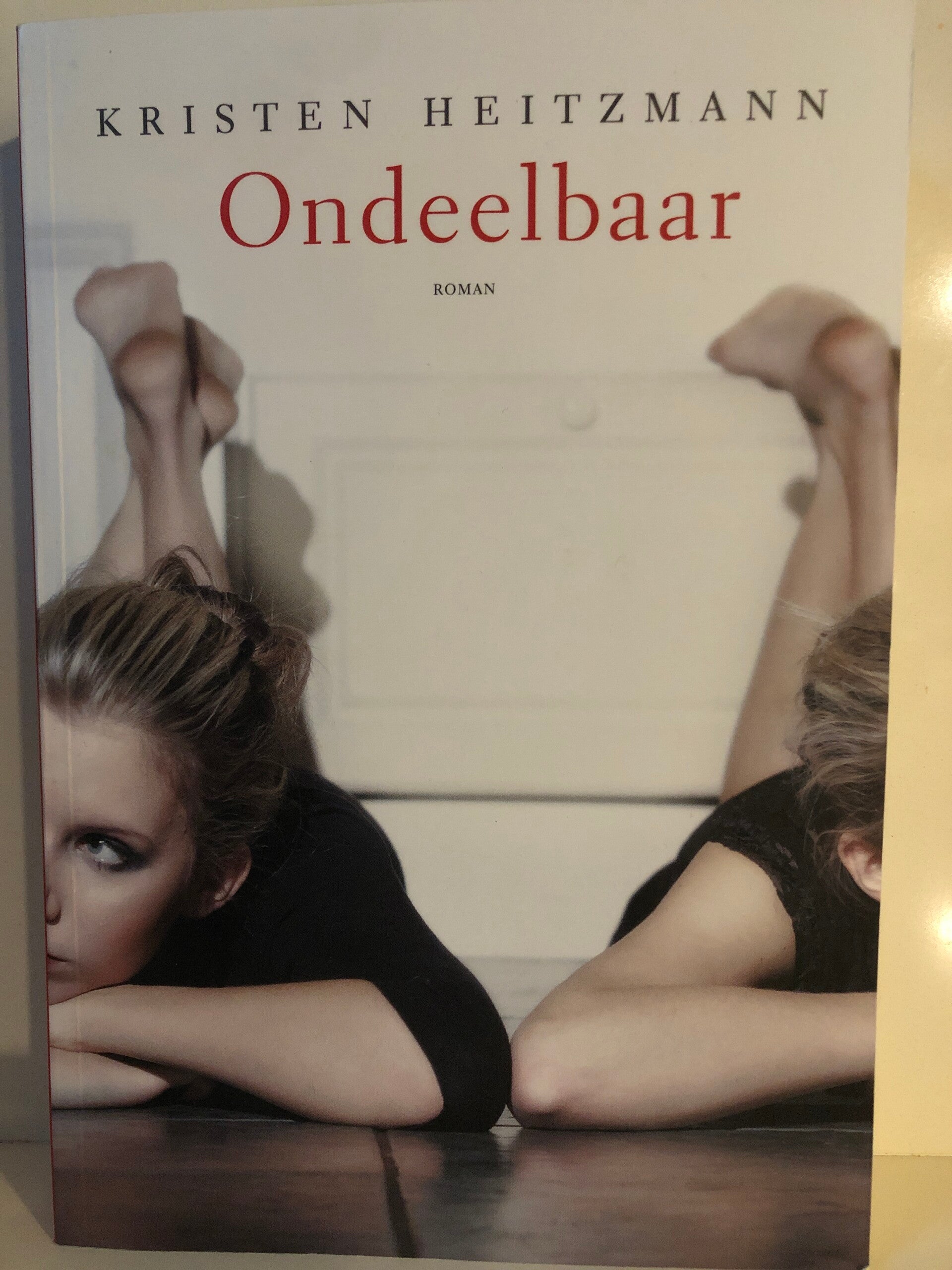 Ondeelbaar. Schrijver: Kristen Heitzman.