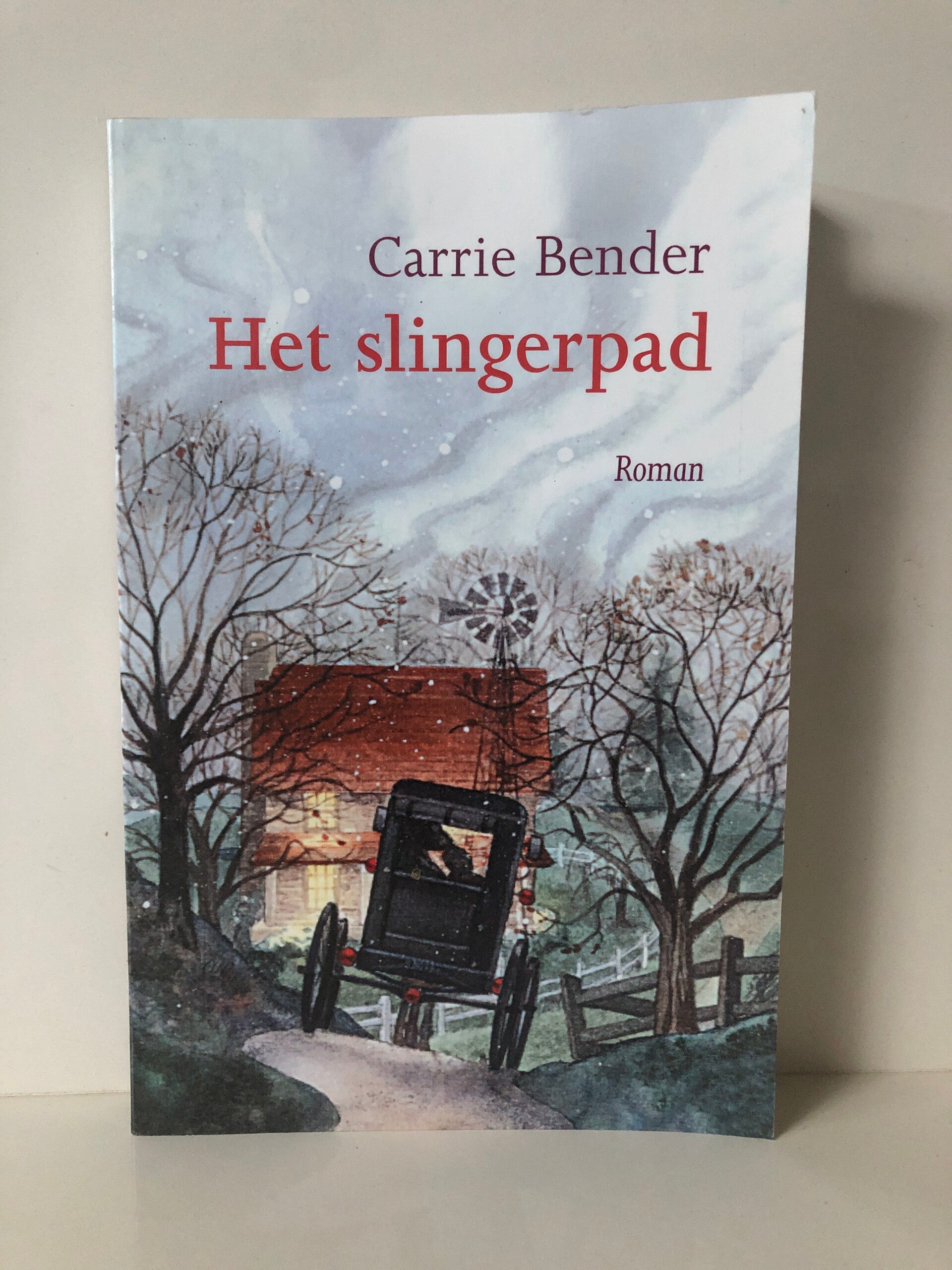 Het slingerpad. Schrijver: Carrie Bender