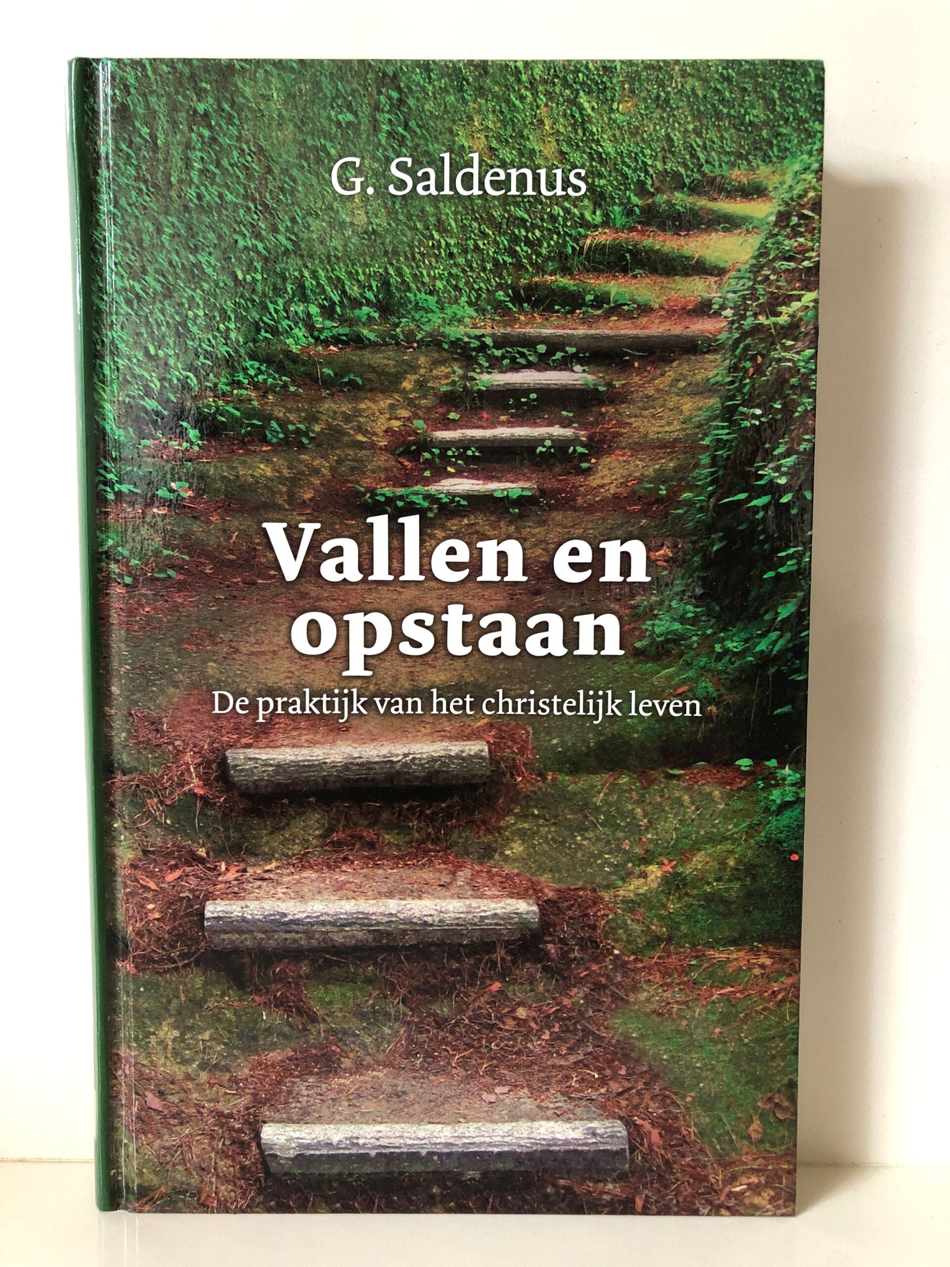 Vallen en opstaan. De praktijk van het christelijk leven. Schrijver: G.Saldemus
