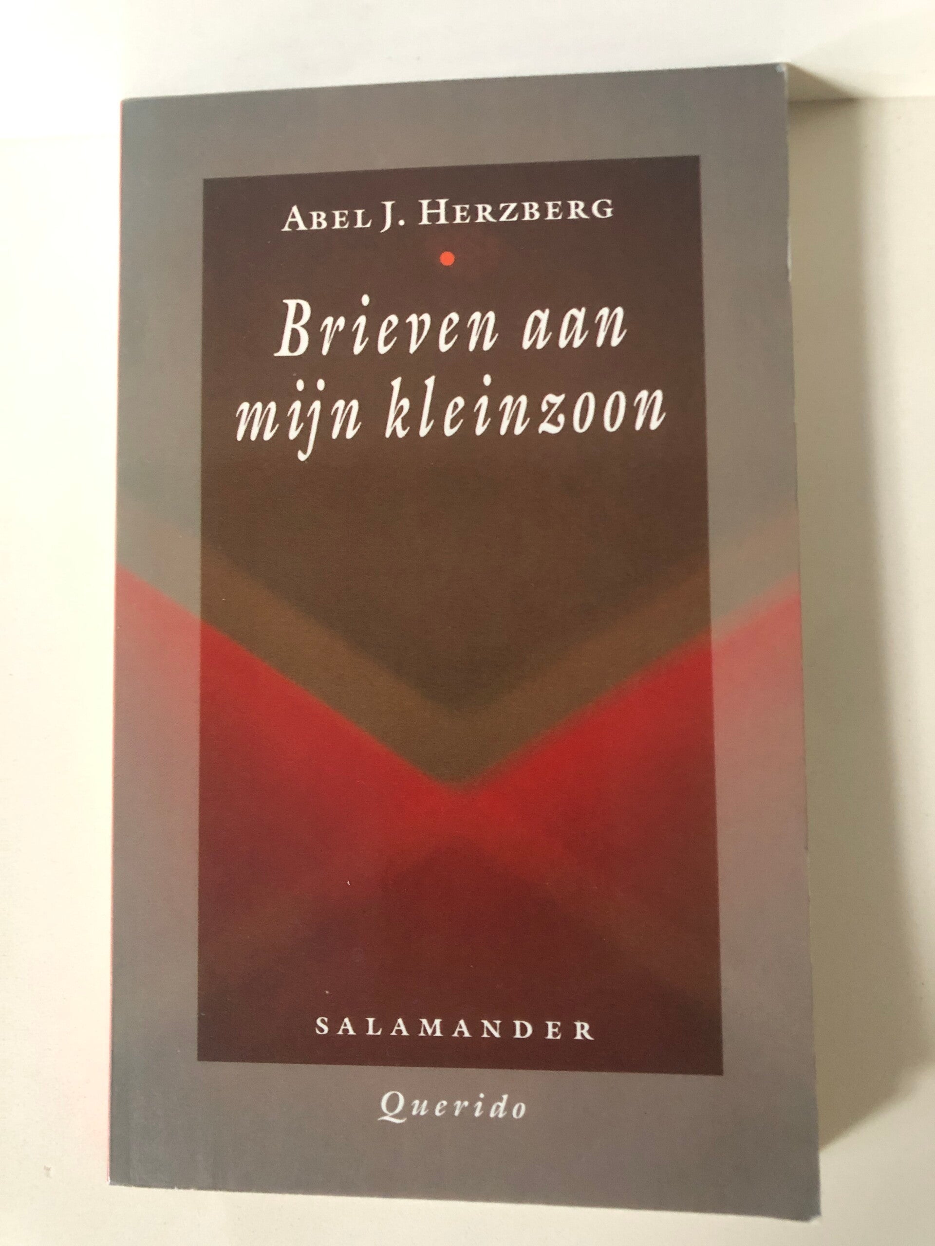 Brieven aan mijn kleinzoon. Schrijver: Abel J.Herzberg