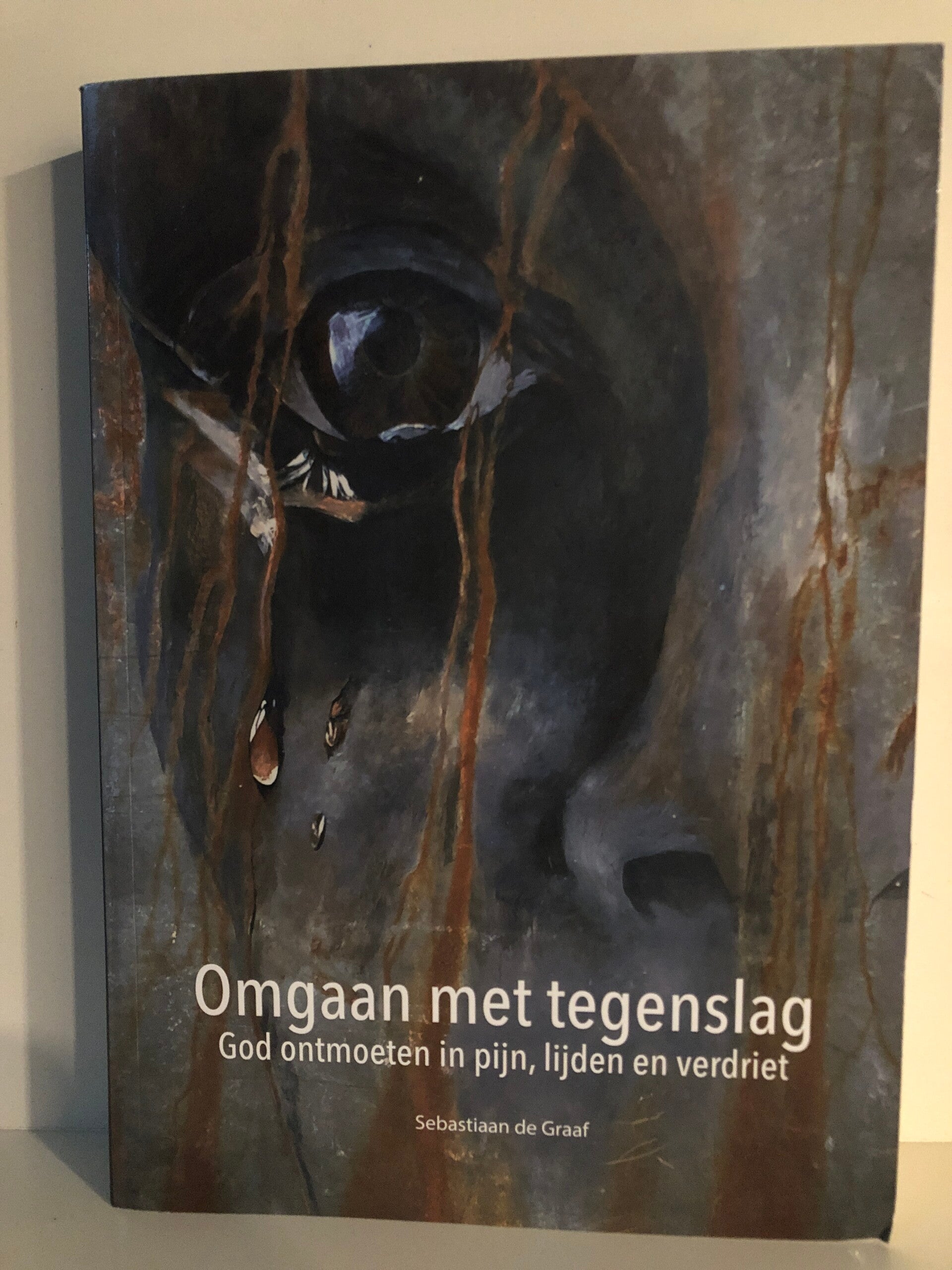 Omgaan met tegenslag. God ontmoeten in pijn, lijden en verdreit. Schrijver: Sebastiaan de Graaf