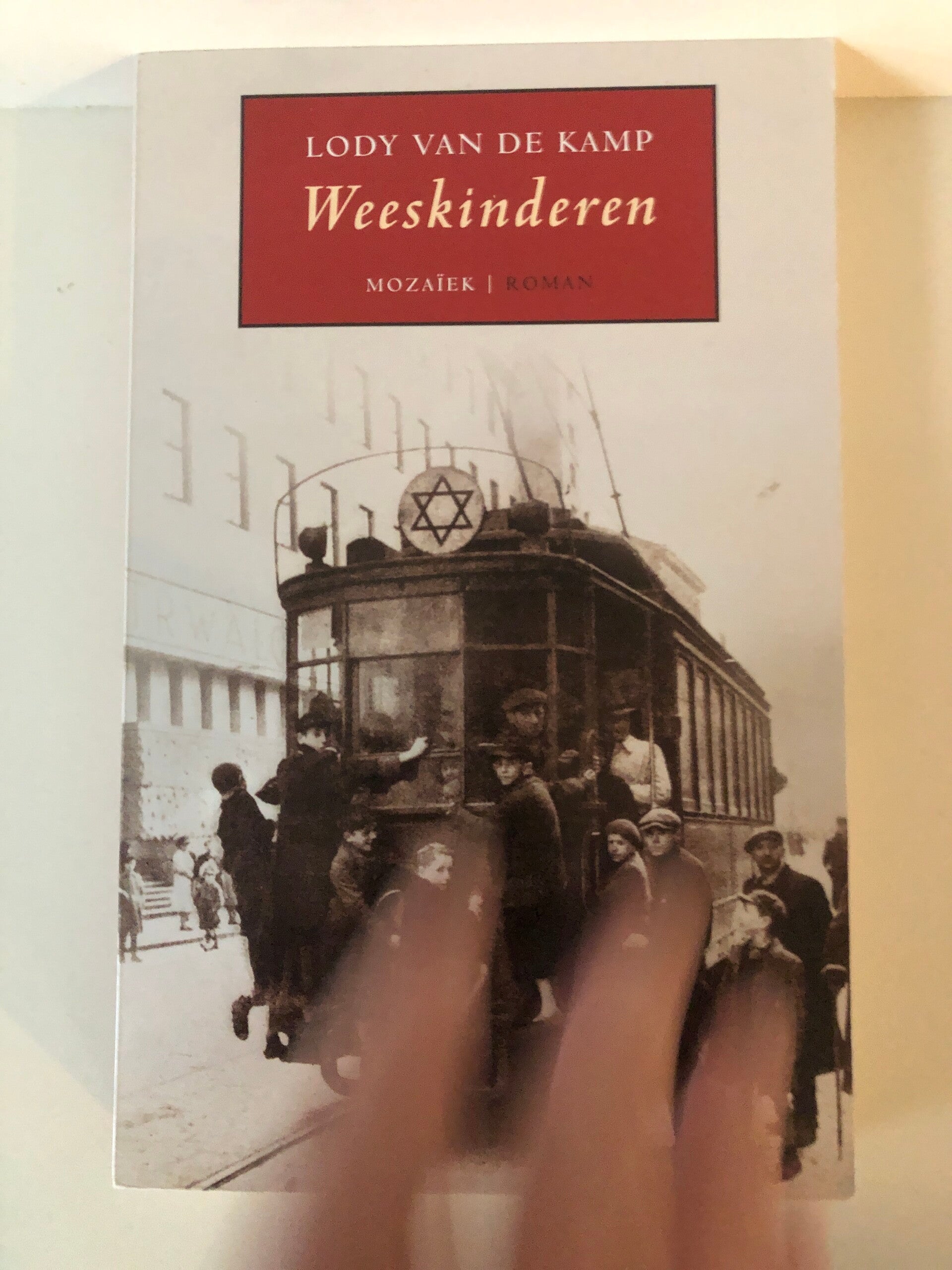 Weeskinderen. Schrijver: Lody van de Kamp.