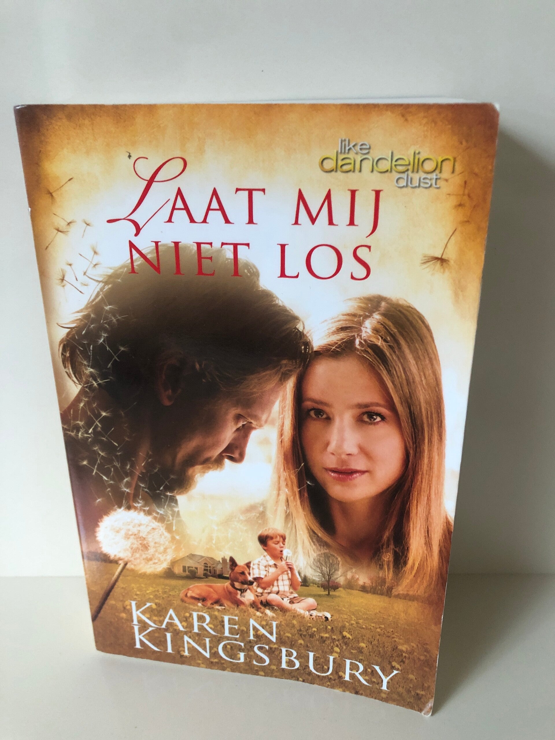 Laat mij niet los. Scrijver: Karen Kingsbury.