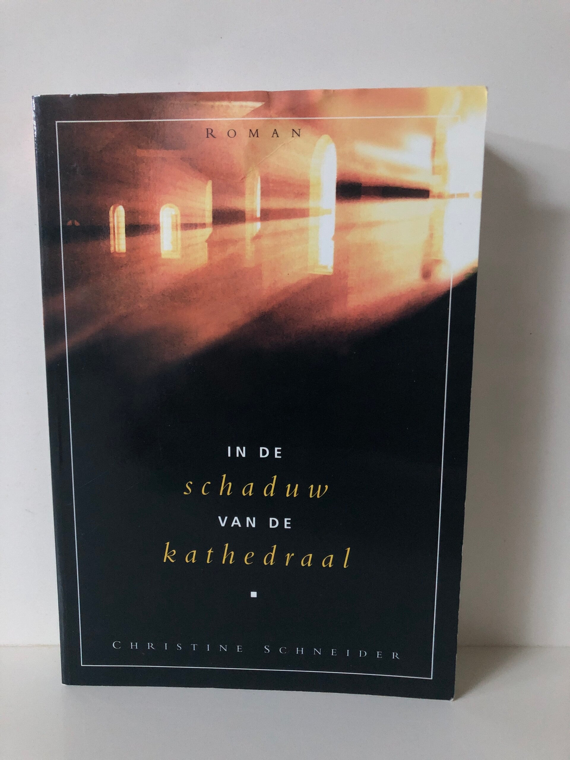 In de schaduw van de kathedraal. Schrijver: Christine Schneider