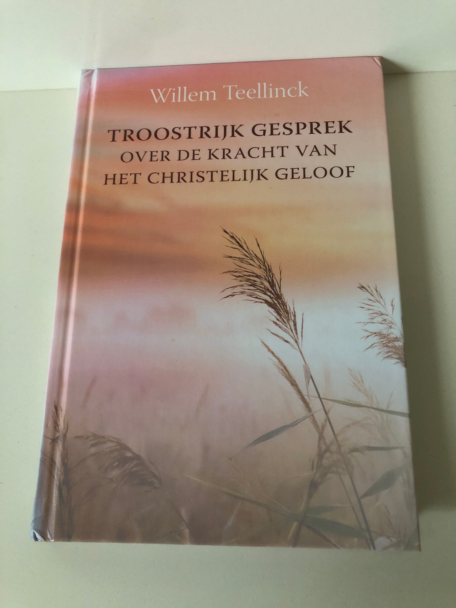 Troostrijk gesprek over de kracht van het christelijk geloof. Schrijver: Willem Teelinck