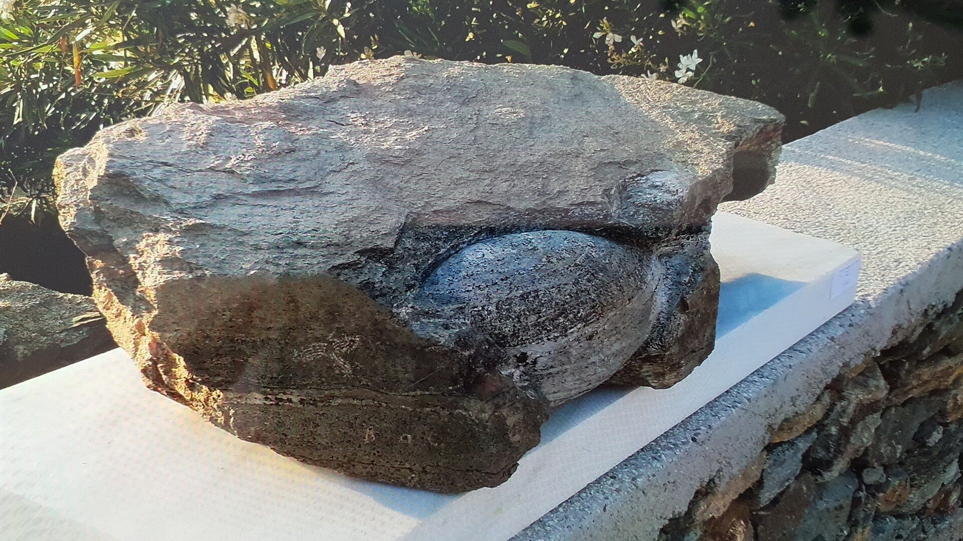 Physis — obra escultórica