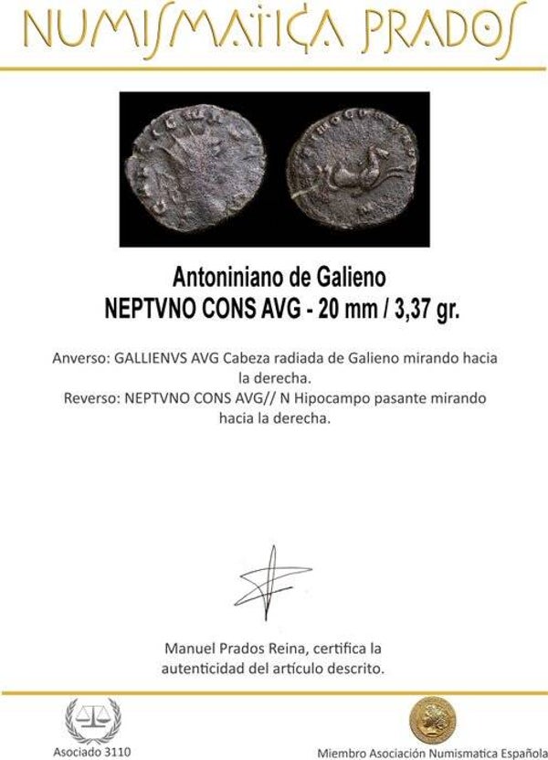 🔴 Antike Münze mit Echtheits-Zertifikat - Ca. 1800 Jahre alt