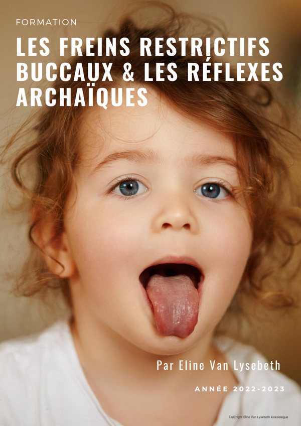 Formation: freins restrictifs buccaux & réflexes archaïques