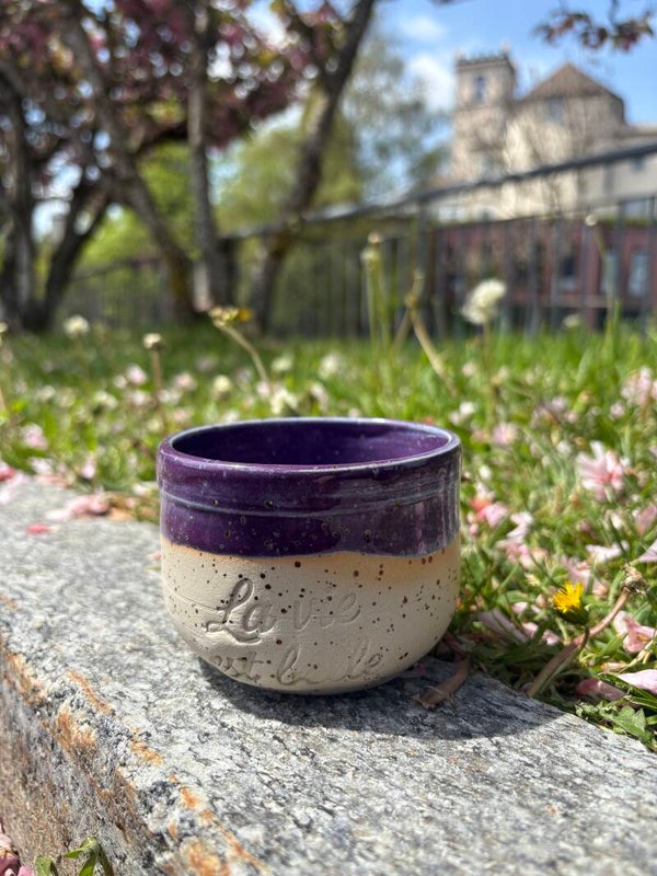 La vie est belle violette