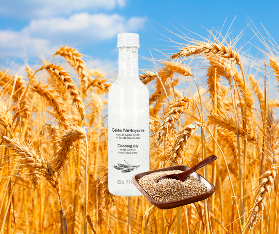 Reinigingsgel met Tarwe en Gerst