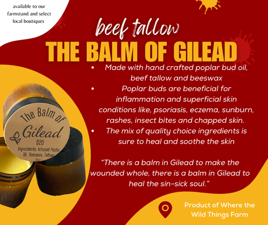 The Balm of Gilead