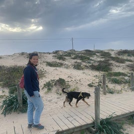 Kundin und Hund gemeinsamer Strandspaziergang