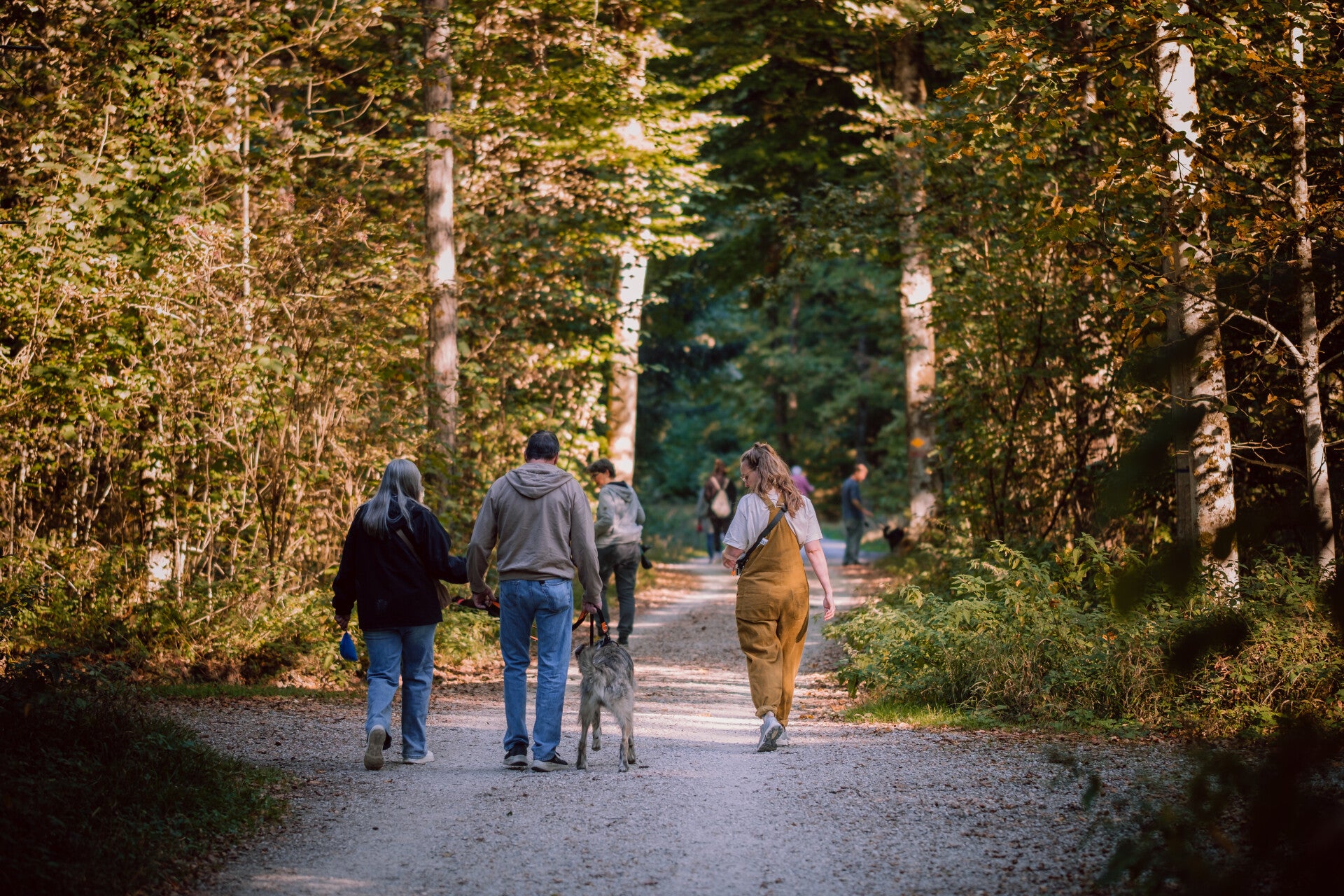 Frau im Wald mit Hund und anderen Menschen.