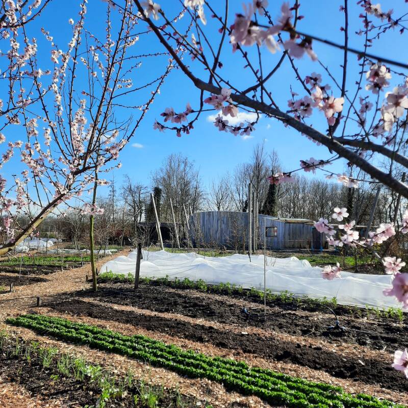 Stijl Hoptuin op Utopia Eiland