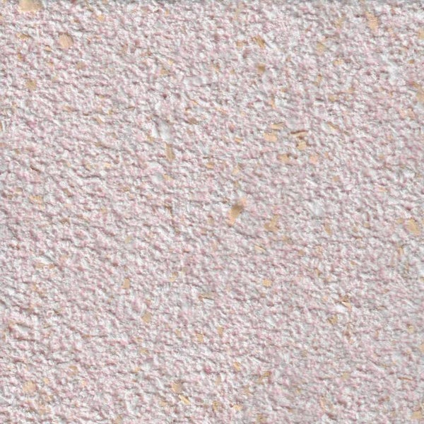 Zirbe 20