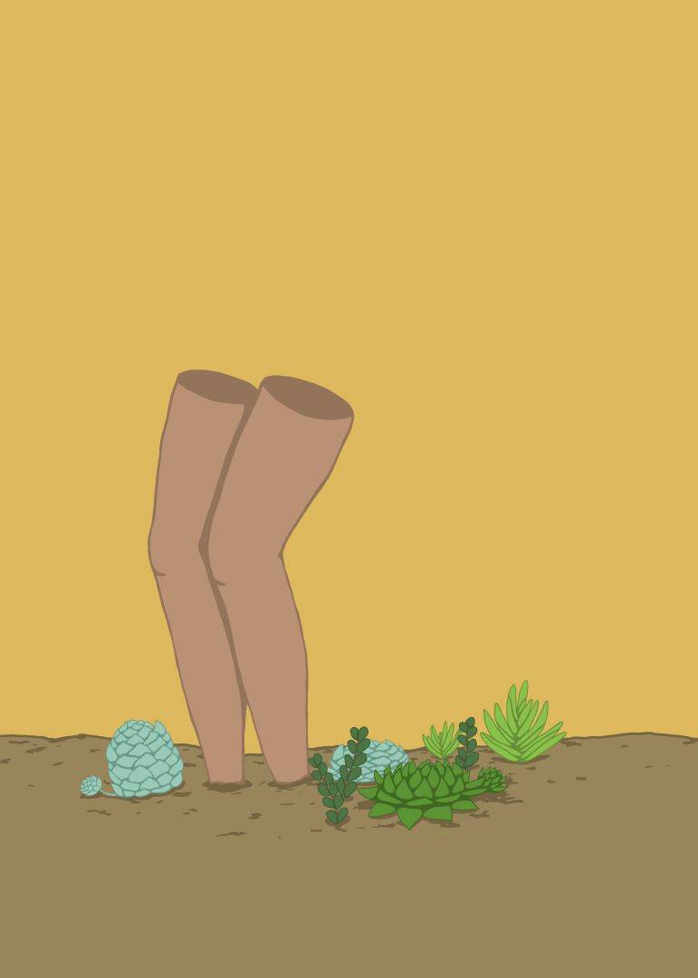digital drawing of two legs grwing out of the soil beside some succulents