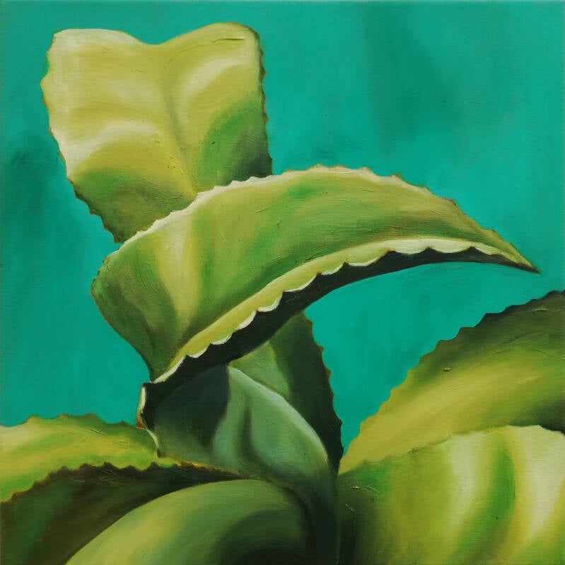 painting of a succulent on a turquoise background