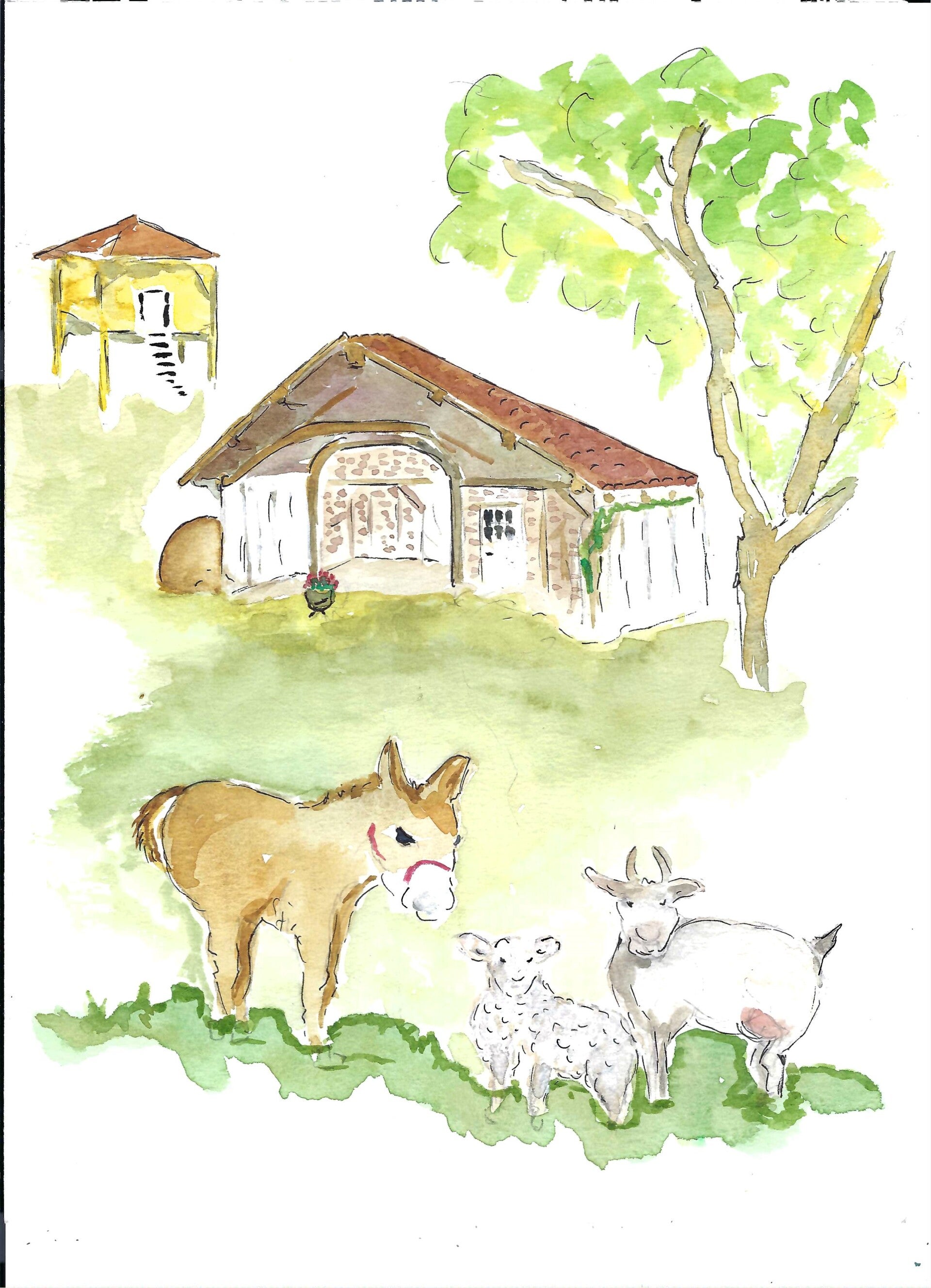 Reprographie aquarelle PIPO ET SES COPINES