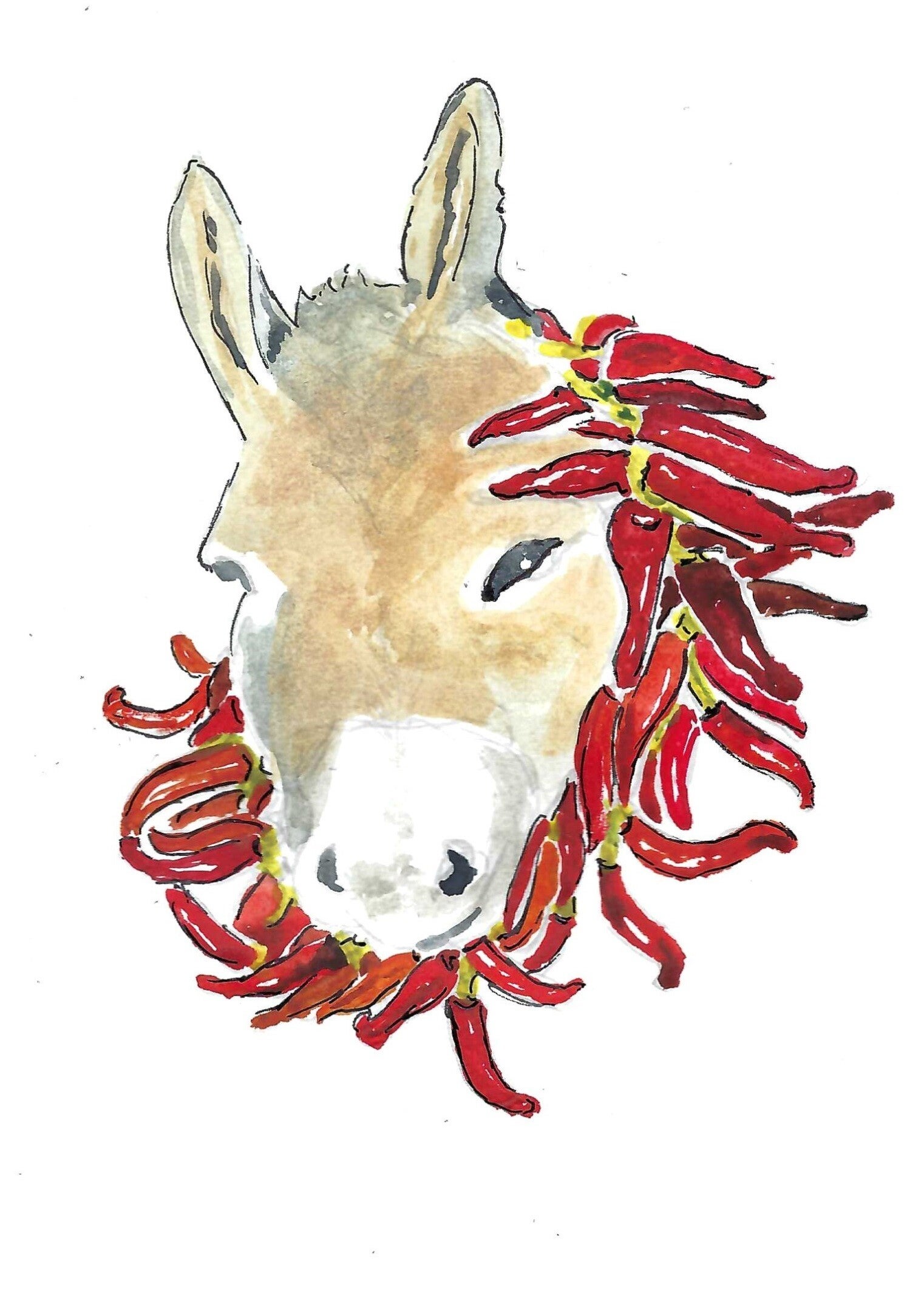 Livre PIPO AU PAYS BASQUE