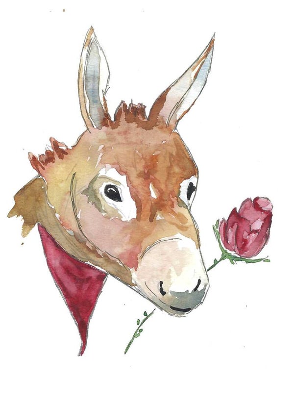 Livre LES COPAINS DE PIPO