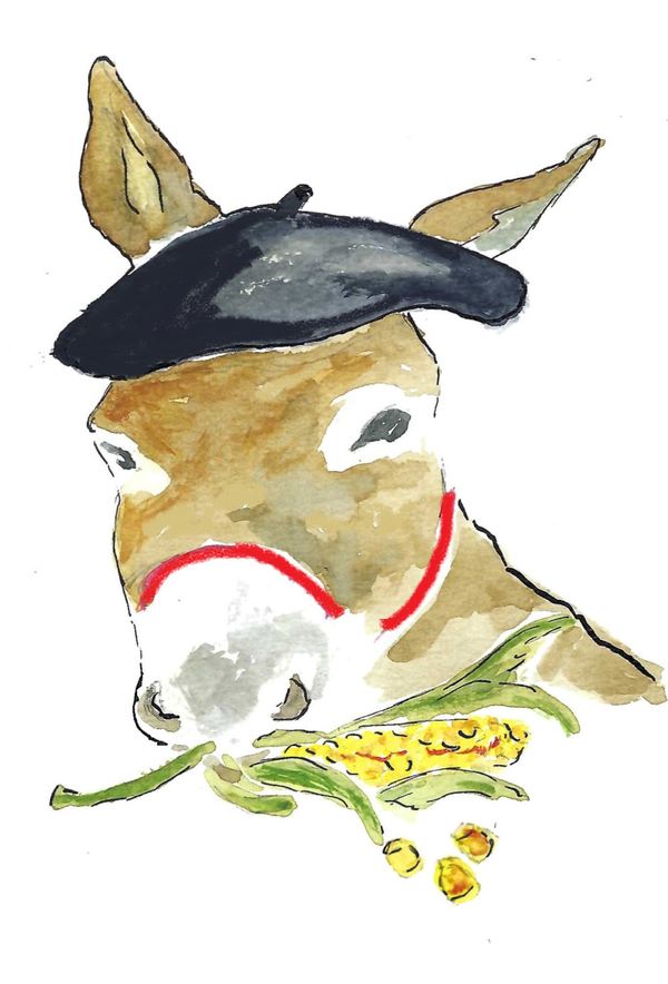 Livre PIPO EN BALADE