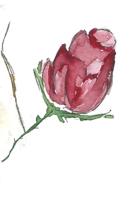 Reprographie aquarelle LA ROSE