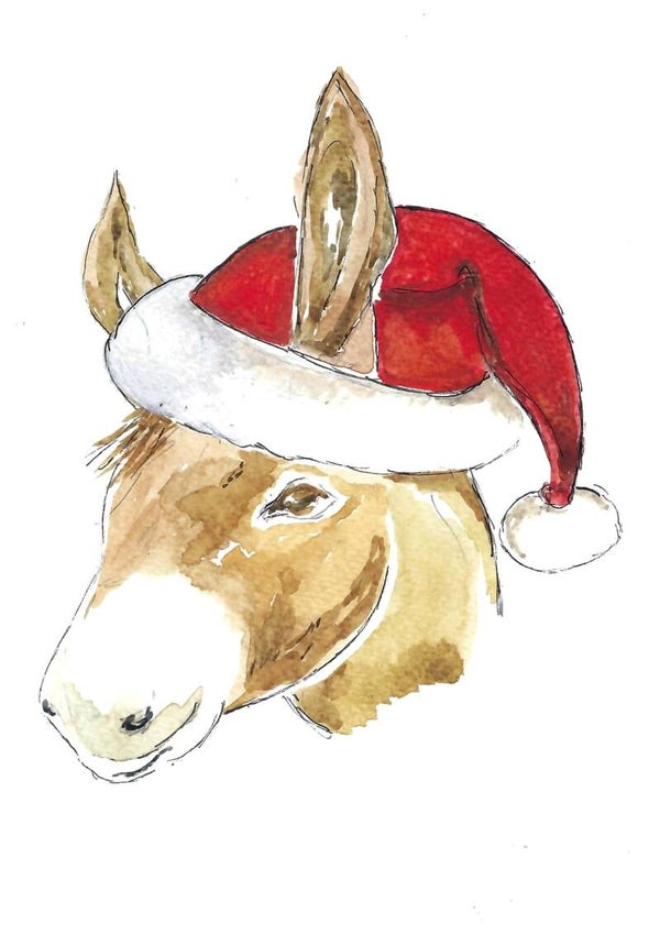 Livre LE NOEL DE PIPO