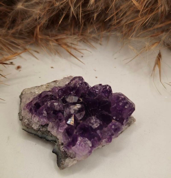 Amethyst mini Cluster