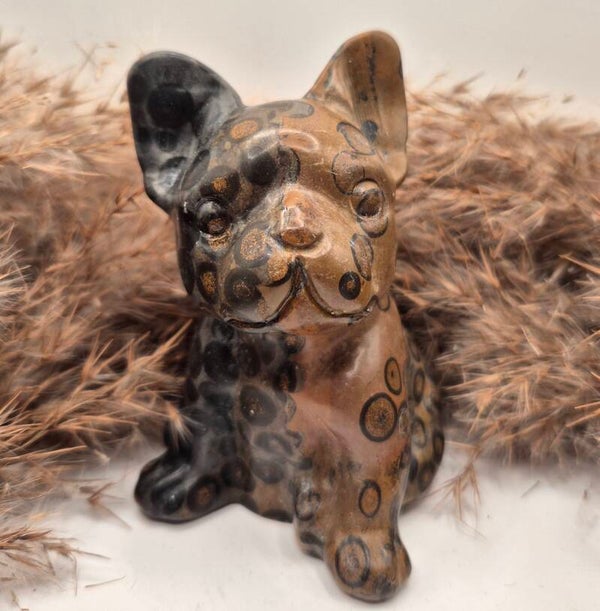 Picture Jaspis Französische Bulldogge