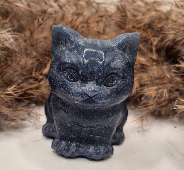 Blaue Aventurin Katze