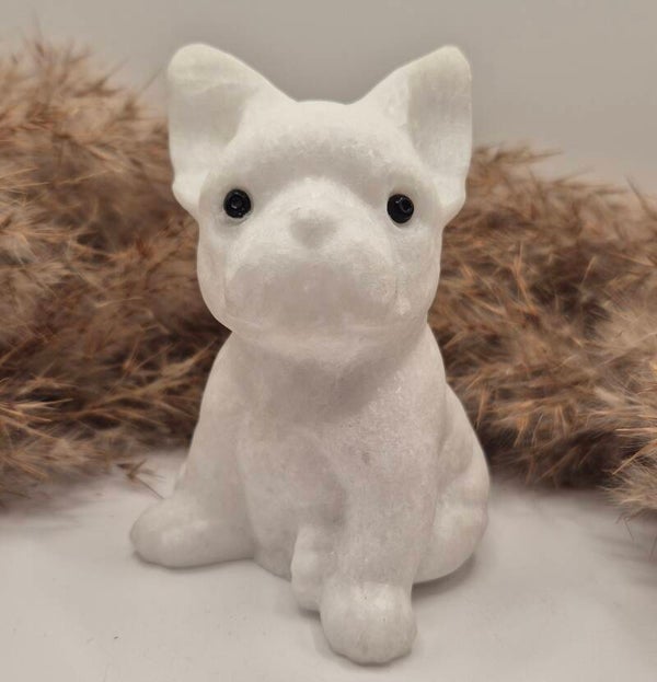 Jade Französische Bulldogge