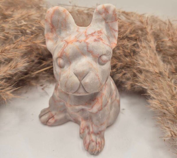 Roter Venen Jaspis Französische Bulldogge