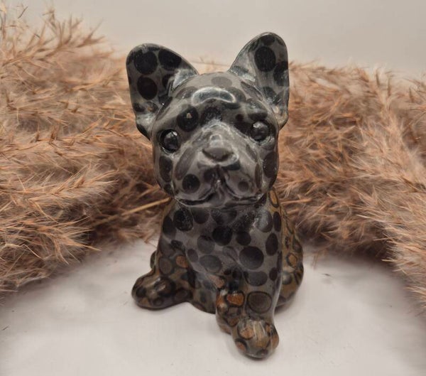 Picture Jaspis Französische Bulldogge