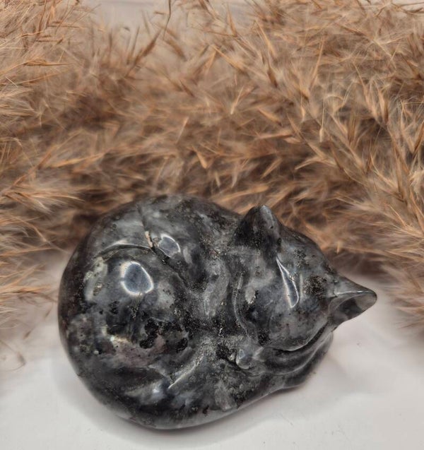 Lavikit schlafende Katze