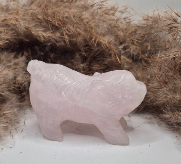 Rosenquarz Schwein