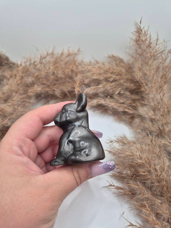 Französische Bulldogge Silver Obsidian