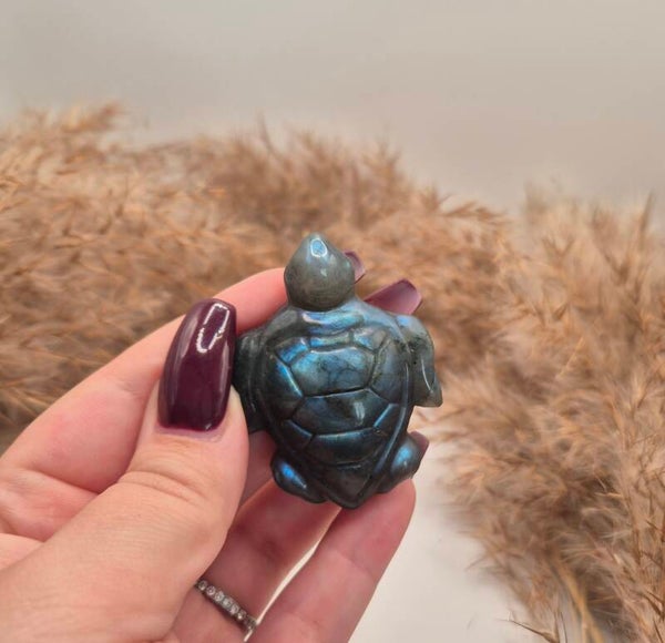 Labradorit Schildkröte