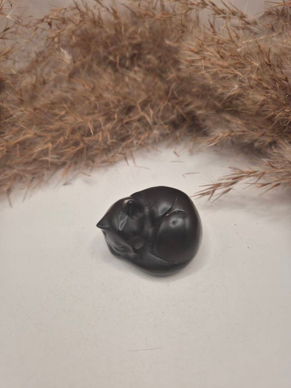 Obsidean schlafende Katze