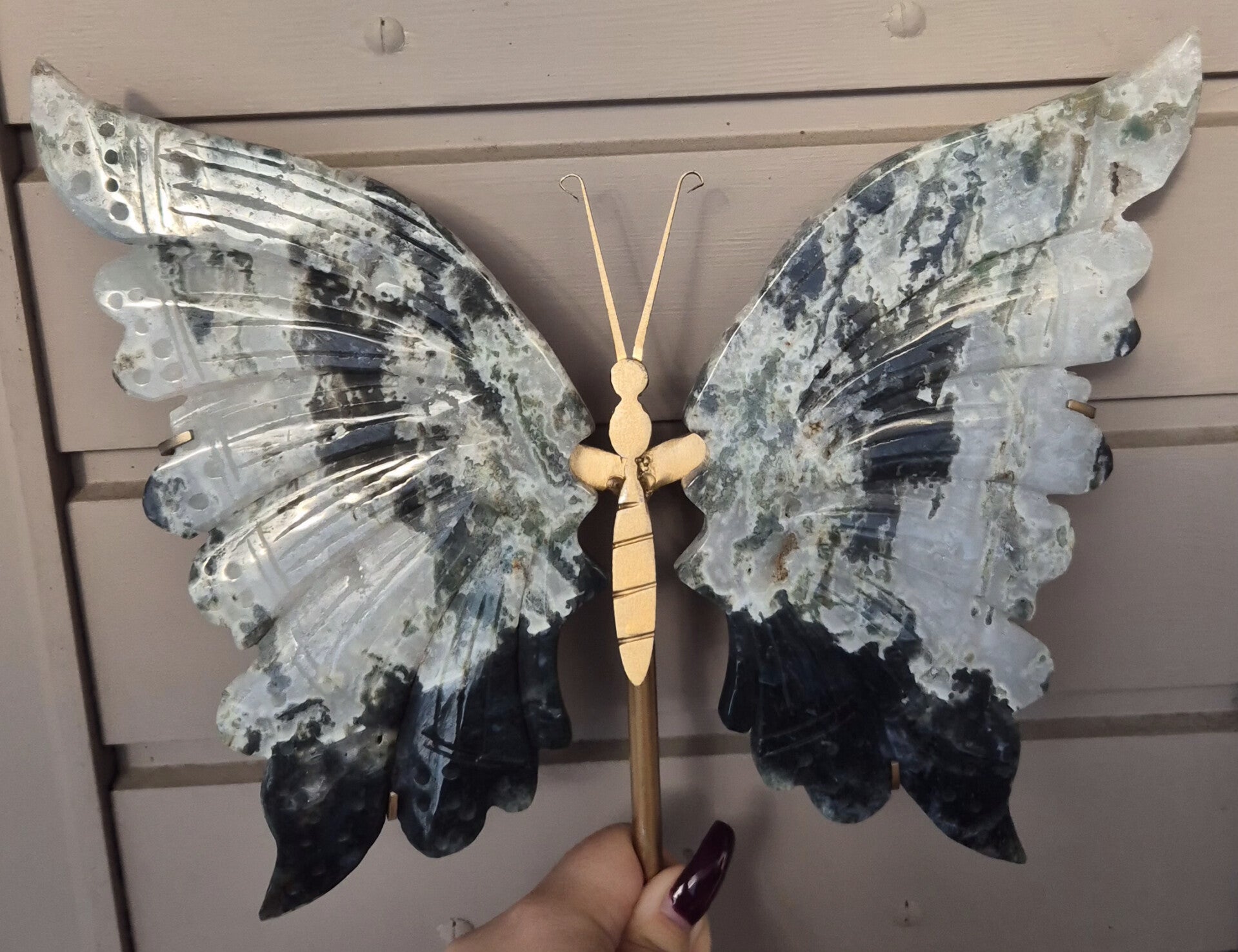 Moosachat Flügel (B-Ware)