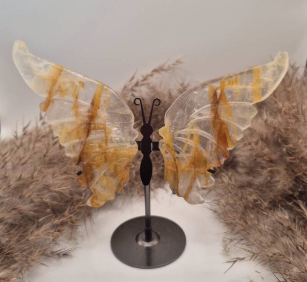 Goldenhealer Flügel