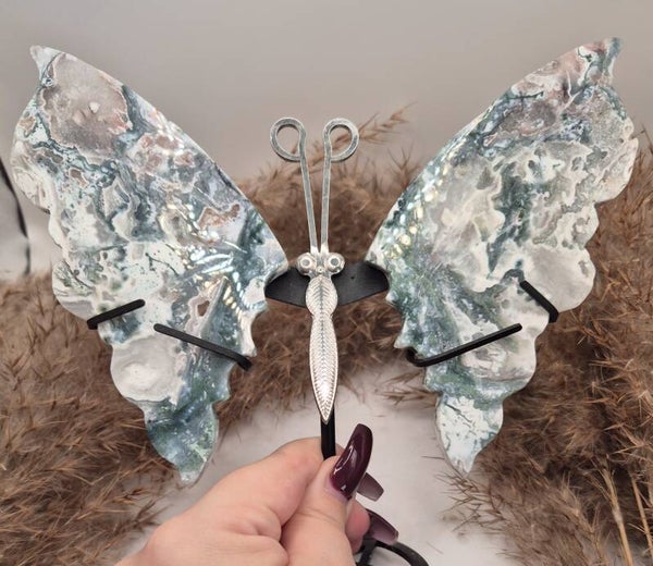 Moosachat mit Pink Flügel