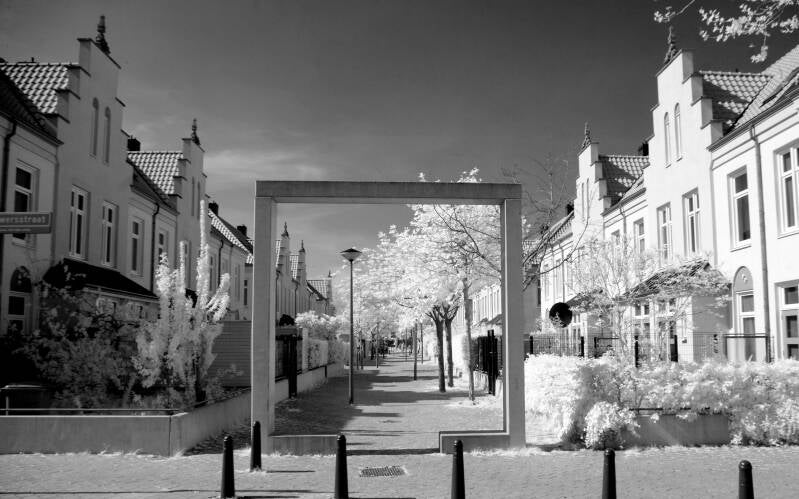 Den haag infrarood sigma sd14