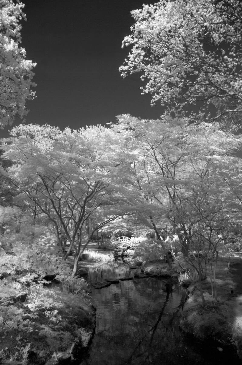 Japansetuin infrarood